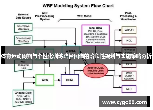 体育运动周期与个性化训练路径图谱的阶段性规划与实施策略分析